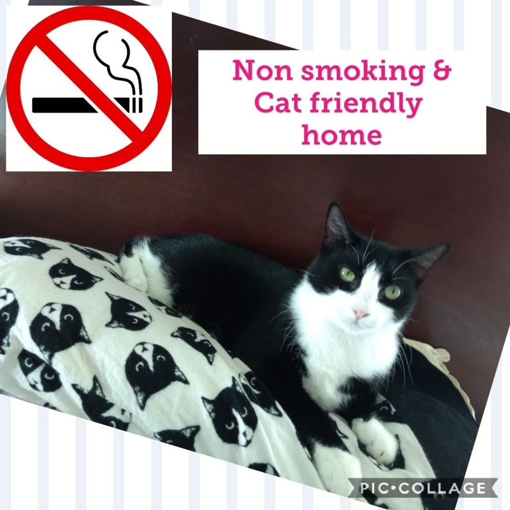 Not for Sale